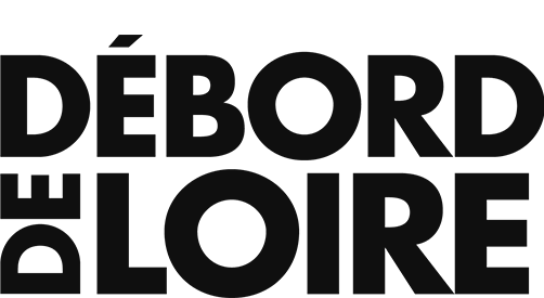 Logo Debord de Loire